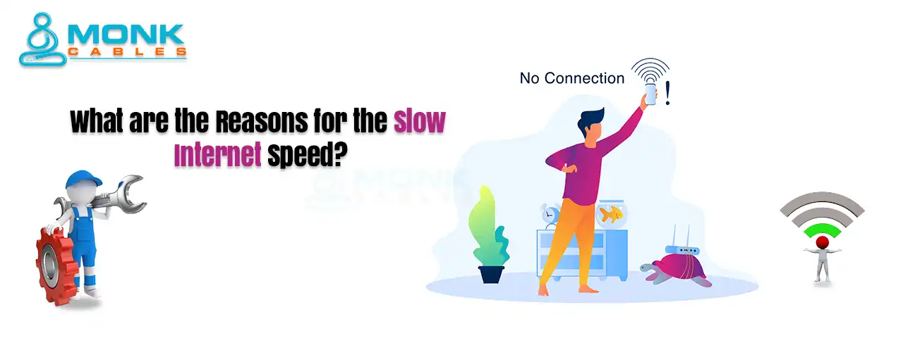 What are the Main Reasons for the Slow Internet Speed?